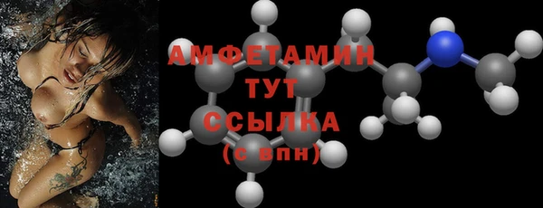 СК Алексин