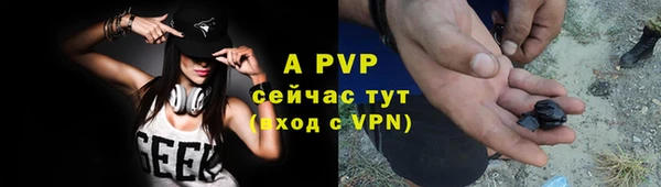 СК Алексин