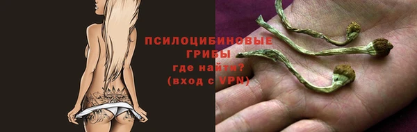 мяу мяу мука Алзамай