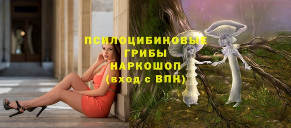прущие крисы Алексеевка