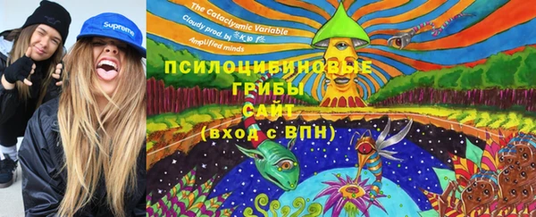 мяу мяу мука Алзамай