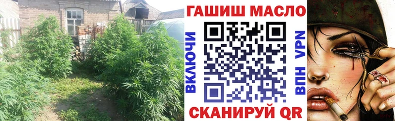 купить  сайты  Завитинск  ТГК Wax 